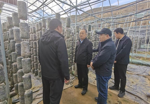 甘肅工程咨詢集團(tuán)赴卓尼縣開(kāi)展鄉(xiāng)村振興幫扶調(diào)研暨結(jié)對(duì)關(guān)愛(ài)工作