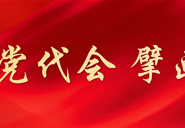 一圖讀懂 | 甘肅咨詢未來5年怎么干？黨委…